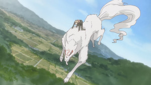 Humans and Youkai