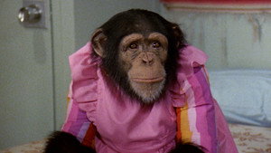 Isaac's Double Standard/One More Time/Chimpanzeeshines