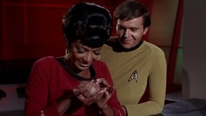 The Trouble With Tribbles