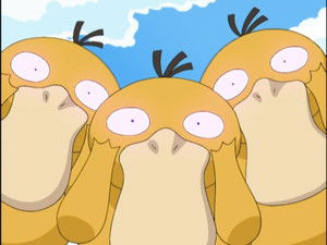 The Psyduck Stops Here!