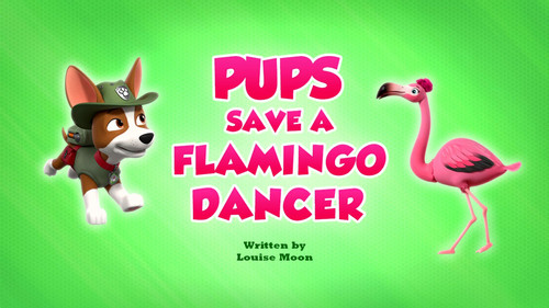 PAW Patrol - S9E40: Pups Save a Flamingo Dancer