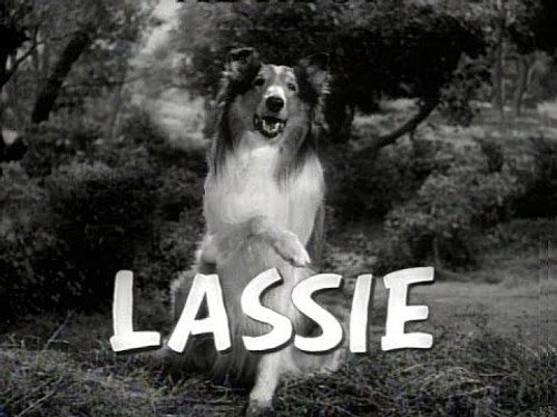 Lassie - S18E7: Day of Disaster
