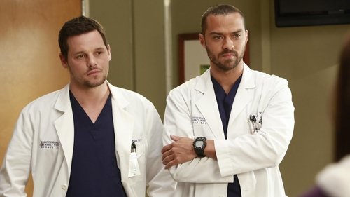 Grey's Anatomy - S9E14: The Face of Change