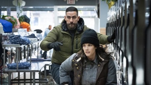 FBI - S7E11: Shelter