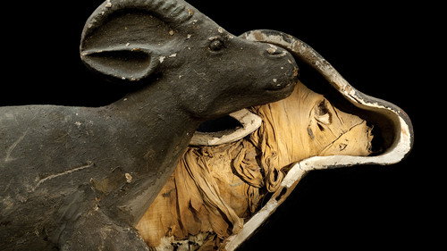 NOVA - S43E5: Animal Mummies