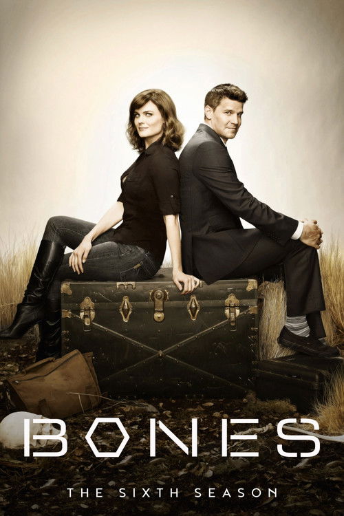 Season 6
