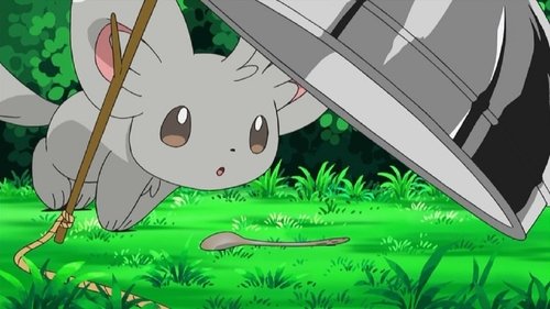 Pokémon - S14E13: Minccino-Neat and Tidy!