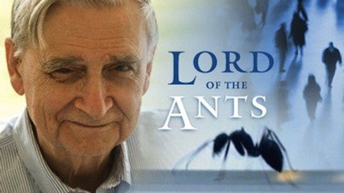 NOVA - S35E17: Lord of the Ants