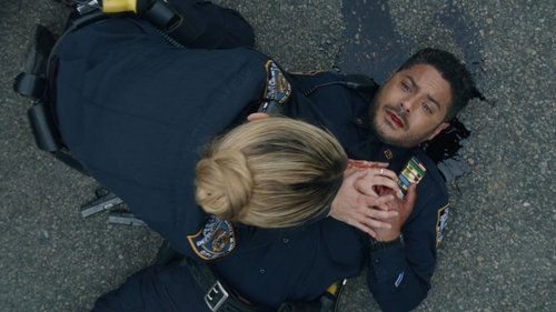 Blue Bloods - S14E18: End of Tour