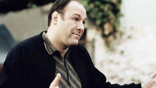 The Sopranos - S1E13: I Dream of Jeannie Cusamano