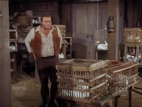 Bonanza - S8E16: Ponderosa Explosion