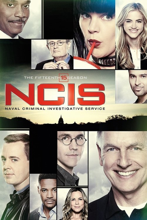 Season 15