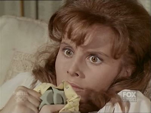Bonanza - S8E1: Something Hurt, Something Wild
